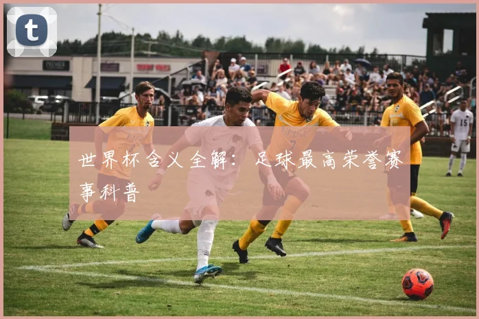 世界杯含义全解：足球最高荣誉赛事科普