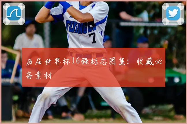 历届世界杯16强标志图集:收藏必备素材