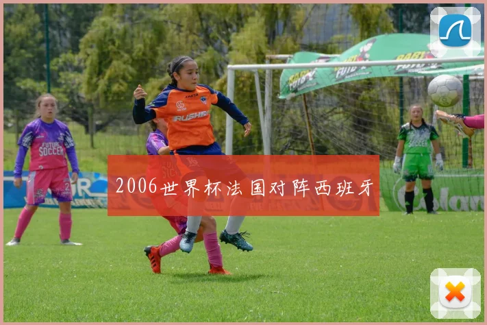 2006世界杯法国对阵西班牙