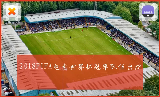 2018FIFA电竞世界杯冠军队伍出炉