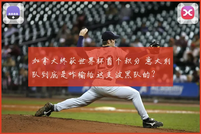 加拿大终获世界杯首个积分 意大利队到底是咋输给这支波黑队的？