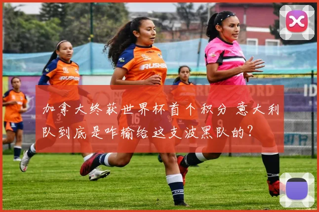 加拿大终获世界杯首个积分 意大利队到底是咋输给这支波黑队的？