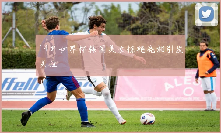 14年世界杯韩国美女惊艳亮相引发关注