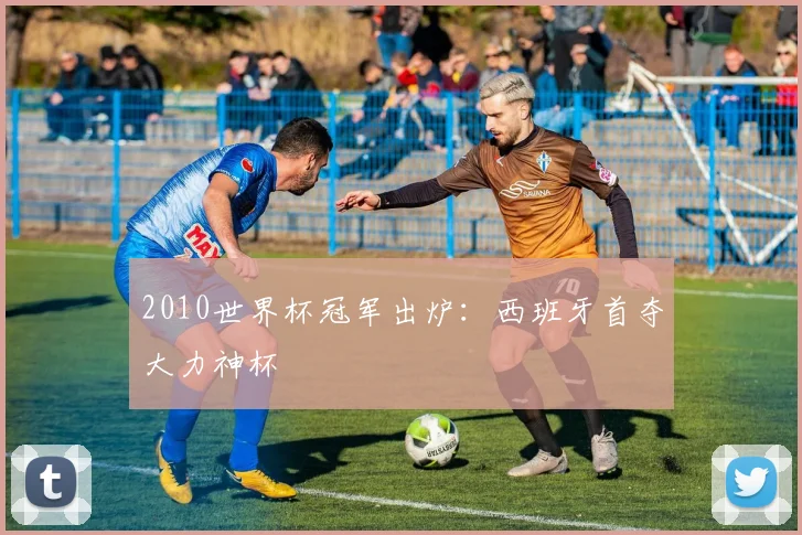 2010世界杯冠军出炉：西班牙首夺大力神杯