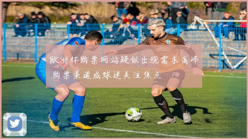 欧洲杯购票网站疑似出现需求高峰 购票渠道成球迷关注焦点