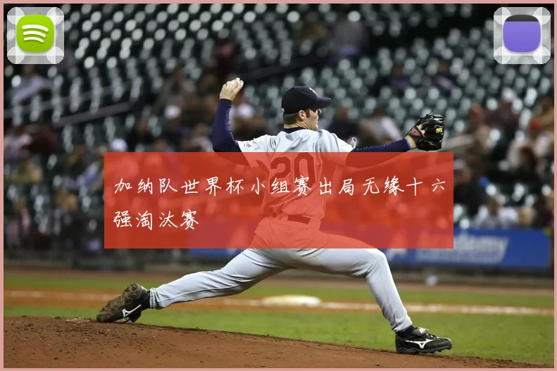 加纳队世界杯小组赛出局无缘十六强淘汰赛