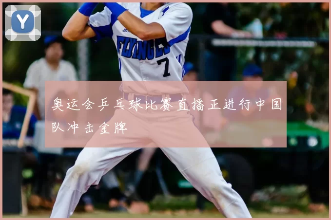 奥运会乒乓球比赛直播正进行中国队冲击金牌