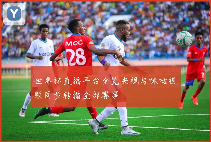 世界杯直播平台全览央视与咪咕视频同步转播全部赛事